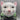 Chinese Porcelain Famille Noir Cat Figurine
