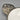 Dupuis Porringer