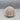 Sea Urchin Shell