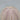 Sea Urchin Shell