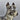 Vintage Shafford Japan Ceramic Schnauzer Dog Figurine