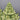 Pair Abagail Ceramic Artichoke Tulipieres