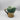 Vintage Royal Doulton Auld Mac Toby Jug D5823