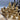 House of Staunton Approach the Bench Legal Chess Set