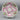 Vintage Pink & Green Haviland & Co. Limoges Oyster Plate