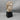 Alva Studios Composition Head of Asclepius