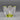 Jan Johansson for Orrefors Crystal Mayflower Bowl with Yellow Highlight