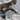 Frederic Remington (American 1861-1909) "Bronco Buster" Bronze Sculpture