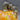 Signed Kevin Fulton Glass Hand Blown Pumpkin - Orange
