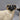 Pair Coopercraft Staffordshire Pottery Lamb Figurines