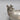 Reed & Barton Pewter Nut Bowl with Squirrel