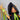 Annalee Dolls - “Witchy Brew” Large Version 18"