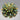 Sparkling Three Dimensional Green Flower Pin