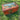 Richard W Telford Folk Art Painted Primitive Chest