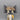 Hopi Flat Kachina Figure - Crow Mother
