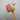 Tadeusz Kacalak Polish Folk Art Rooster Carving