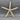 Pencil or Finger Starfish