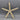 Pencil or Finger Starfish