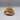 Bullmouth Helmet Seashell