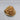 Bullmouth Helmet Seashell