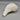Knobbed Whelk Seashell