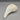 Knobbed Whelk Seashell