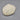 Puffy Sea Biscuit Seashell #2