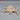 Chiragra Spider Conch Seashell