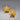 Anne Klein Textured Starfish Clip Earrings
