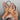 Stupell Home Décor Fox Wearing Tuxedo Hanger