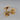 18K Gold Sand Dollar Earrings
