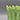 Italian Pottery Asparagus Planter or Votive Candle Holder