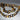 Chunky Acrylic Tortoise Shell Necklace