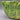 Valerie Green Lettuce Bowl by Cumberland Designs