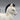 Vintage Japanese Porcelain Horse Figurine