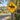 Vintage Yellow Horse Crossing Road Sign