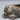 Petites Choses Decorative Pewter Pig Hurricane Votive / Dish