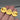 Back view of gold coin brooch showing pin clasp on hand