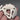 Back of vintage dog brooch showing the pin clasp held in a hand.