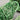 Secla Portugal Cabbage Leaf Cups and Saucer - Set of Six - ShopSBH