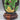 Vintage Chinese Cloisonné Vase and Wood Stand - ShopSBH