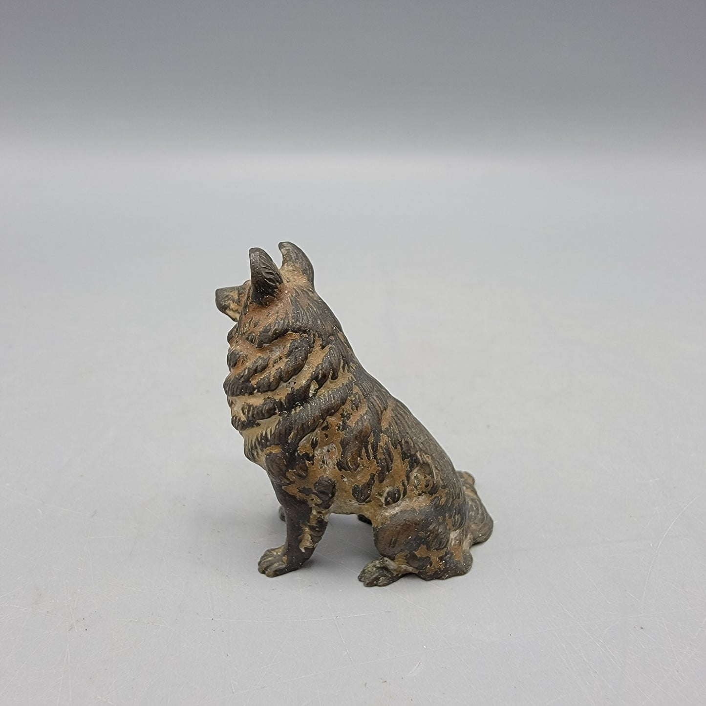 Cold Painted Austrian Bronze of a Collie Dog