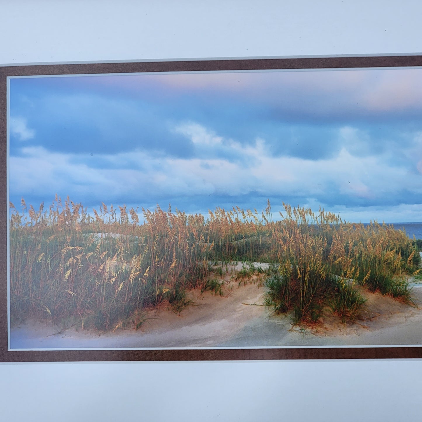 Sand Dunes and Ocean Color Print