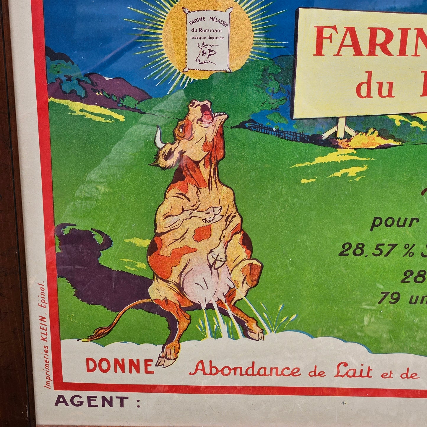 Large Vintage French Vigor Poster
