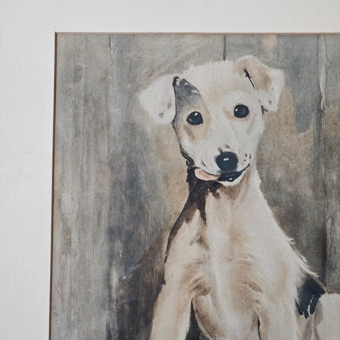 Vintage Cecil Aldin (1870 - 1935) Artwork of Dog